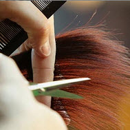 دوره مدیریت کسب و کار DBA ویژه آرایشگران و مراکز زیبایی DBA for Barbers and Beauty Centers